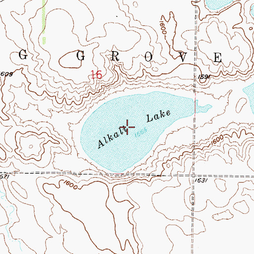 Topographic Map of Alkali Lake, ND