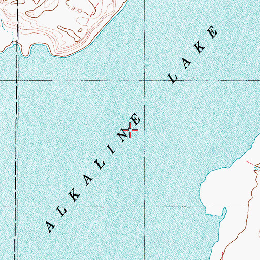 Topographic Map of Alkaline Lake, ND