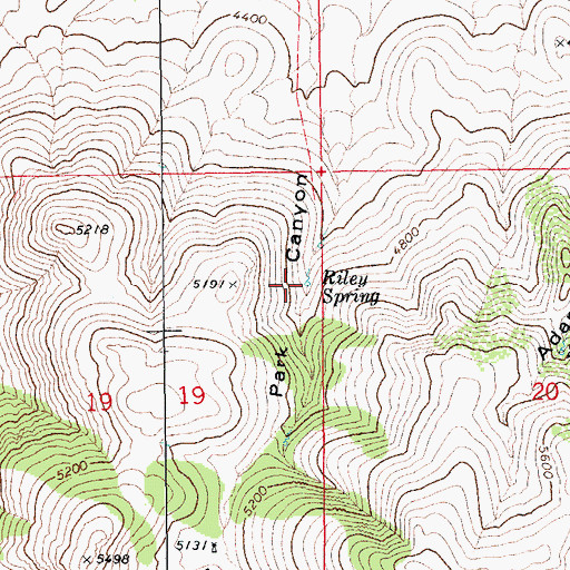 Topographic Map of Riley Spring, AZ