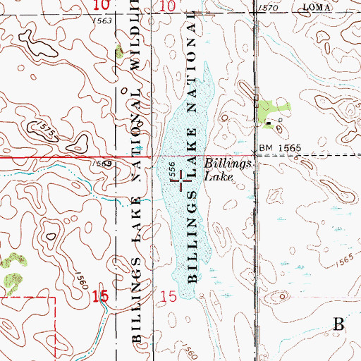 Topographic Map of Billings Lake, ND