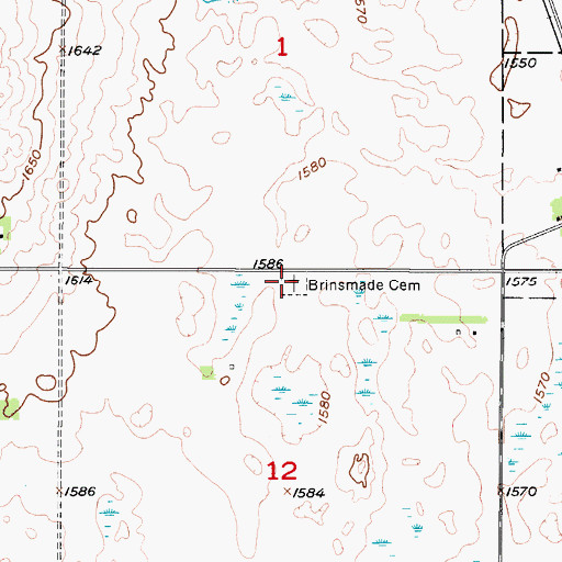 Topographic Map of Brinsmade Lutheran Cemetery, ND
