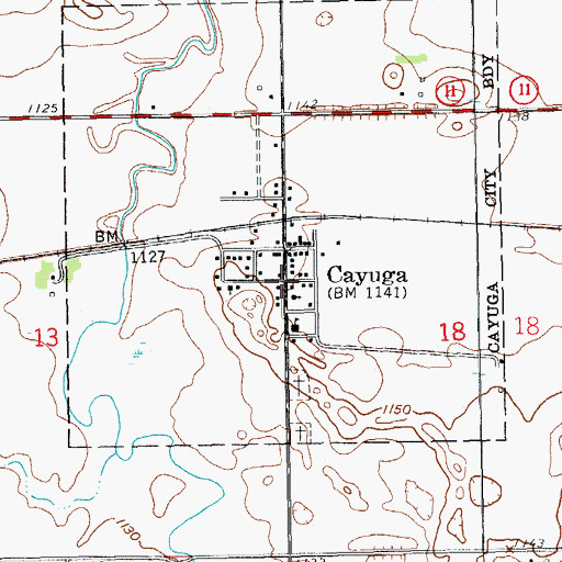 Topographic Map of Cayuga, ND