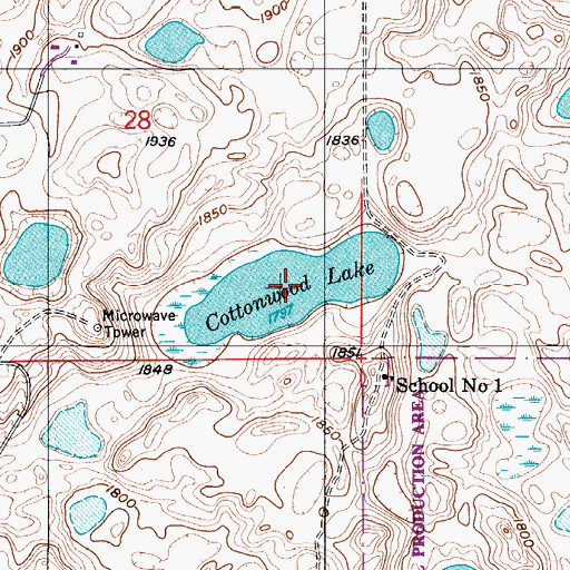Topographic Map of Cottonwood Lake, ND