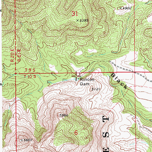 Topographic Map of Rincon Dam, AZ