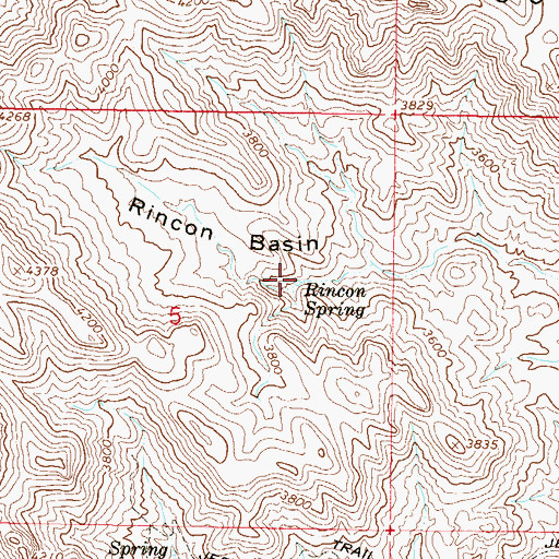Topographic Map of Rincon Spring, AZ
