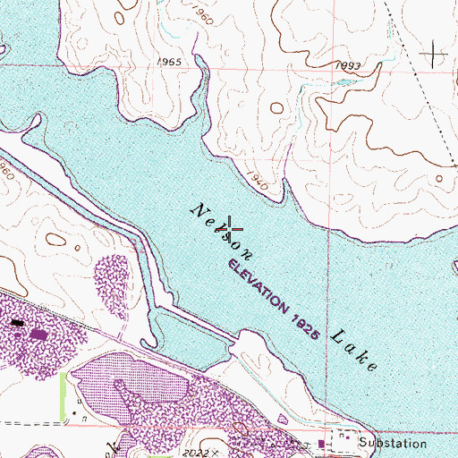 Topographic Map of Nelson Lake, ND
