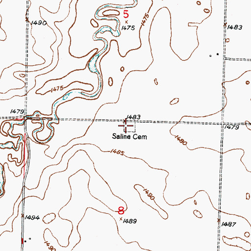 Topographic Map of Saline Cemetery, ND
