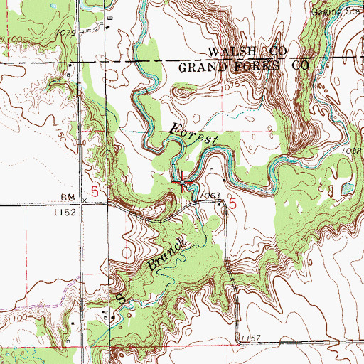 Topographic Map of South Branch Forest River, ND