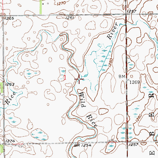 Topographic Map of Wild Rice Creek, ND