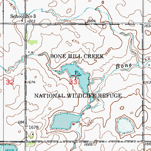 Topographic Map of Bone Hill Creek Lake, ND