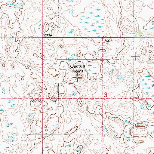 Topographic Map of Cactus Point, ND