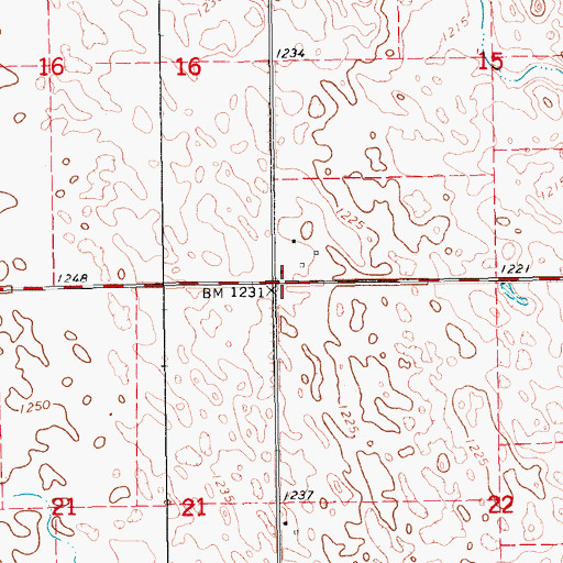 Topographic Map of Township of Binghampton, ND