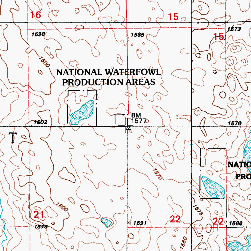 Topographic Map of Township of Lippert, ND