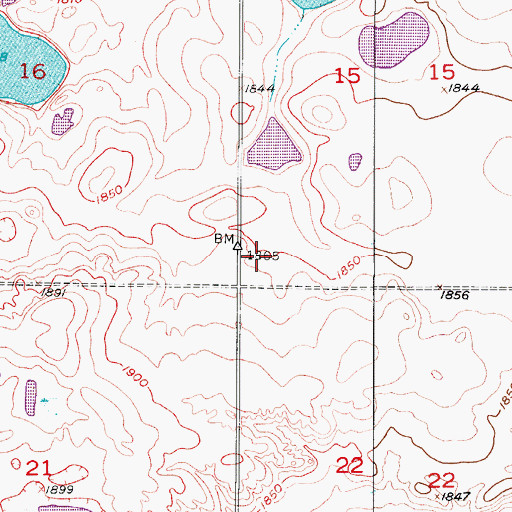 Topographic Map of Township of Flint, ND