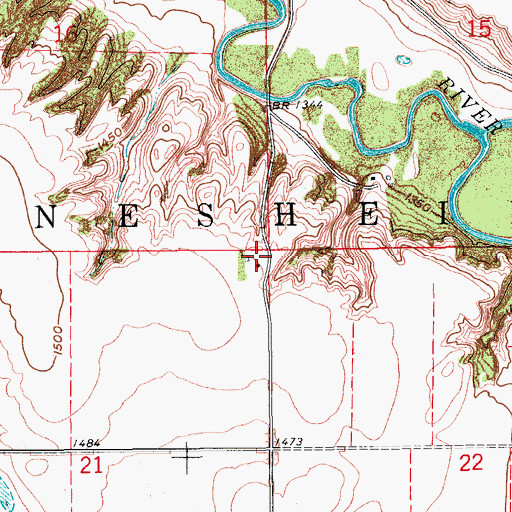 Topographic Map of Township of Nesheim, ND