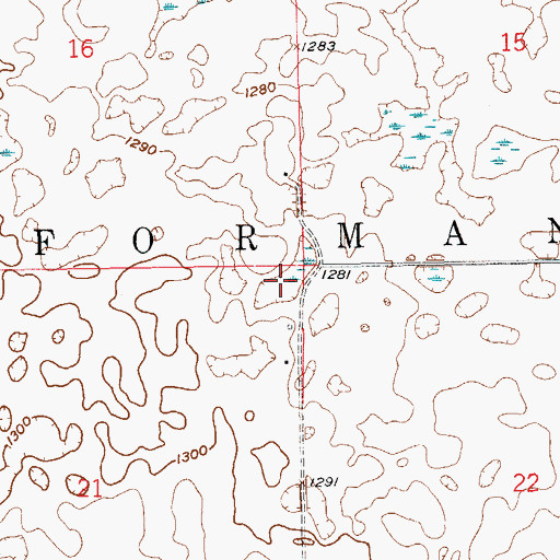 Topographic Map of Township of Forman, ND