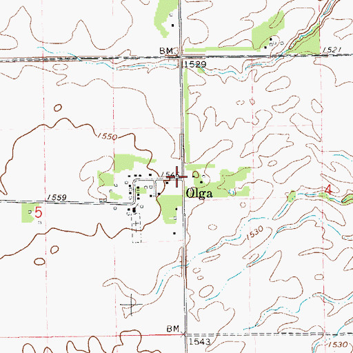 Topographic Map of Olga, ND