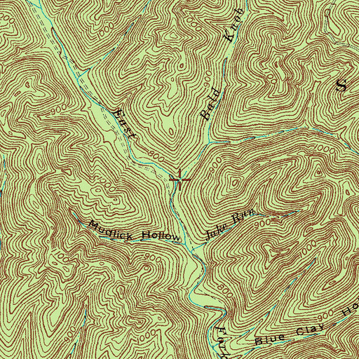 Topographic Map of Bald Knob Run, OH
