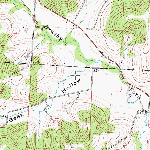 Topographic Map of Bear Hollow, OH