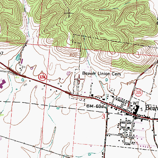 Topographic Map of Beaver Union Cemetery, OH