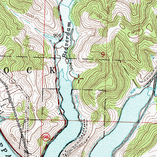 Topographic Map of Beaverdam Run, OH