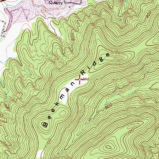 Topographic Map of Beekman Ridge, OH