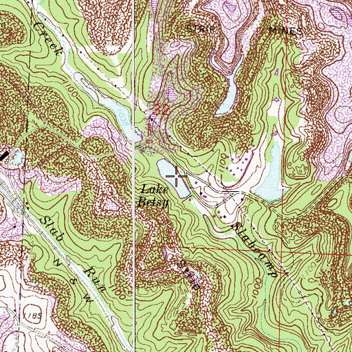 Topographic Map of Lake Betsy, OH
