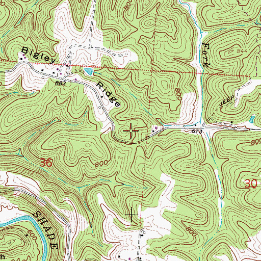 Topographic Map of Bigley Ridge, OH