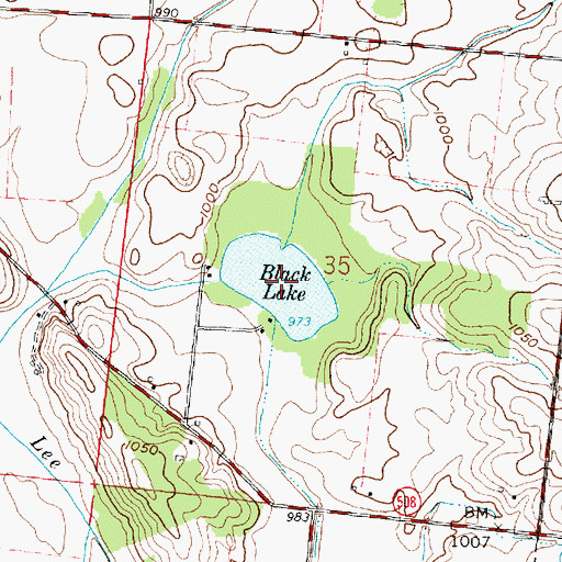Topographic Map of Black Lake, OH