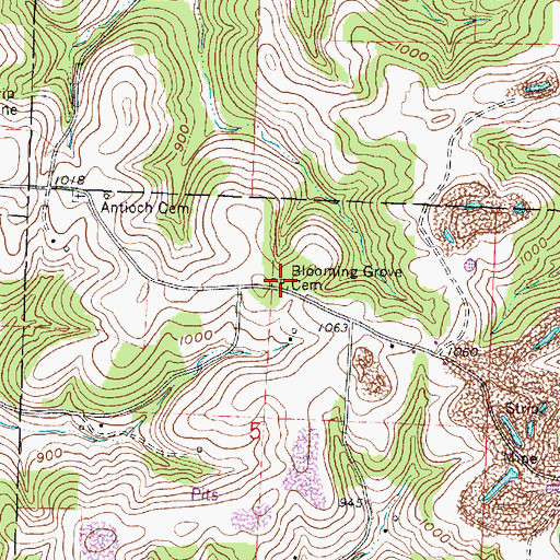 Topographic Map of Blooming Grove Cemetery, OH