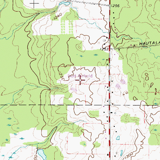 Topographic Map of Bod Airfield, OH