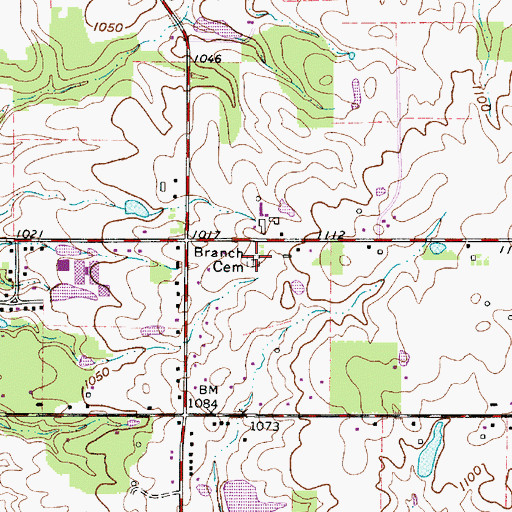 Topographic Map of Branch Cemetery, OH