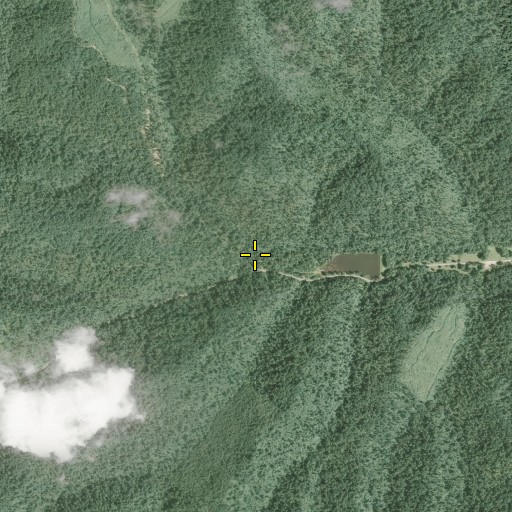 Aerial/Satellite Image of Brush Fork, OH