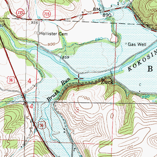 Topographic Map of Brush Run, OH