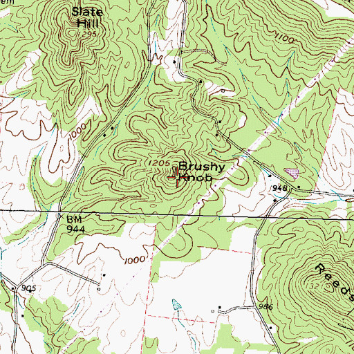 Topographic Map of Brushy Knob, OH