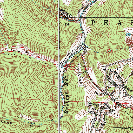 Topographic Map of Buckeye Run, OH