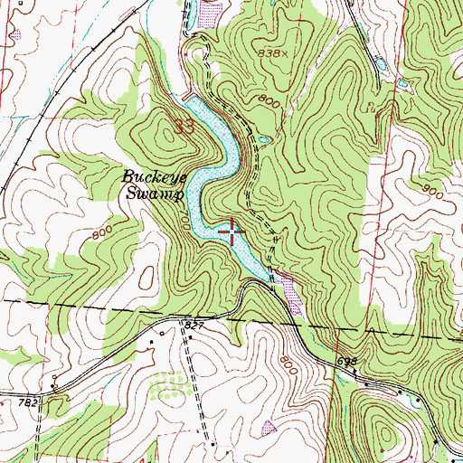 Topographic Map of Buckeye Swamp, OH