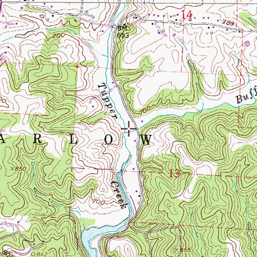 Topographic Map of Buffalo Run, OH