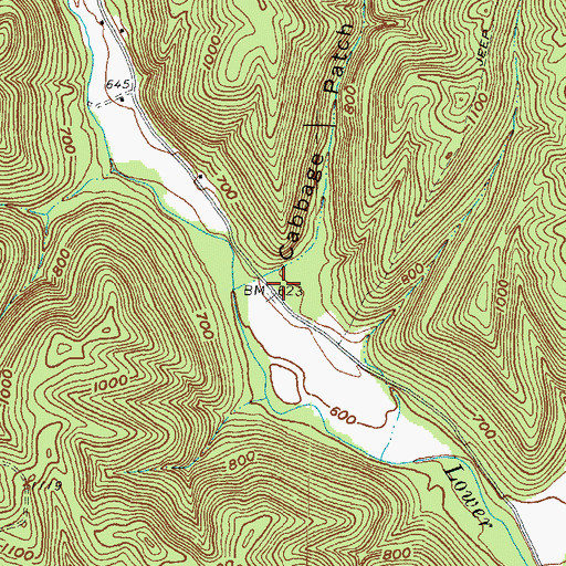 Topographic Map of Cabbage Patch Hollow, OH