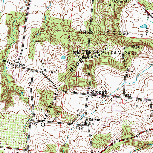 Topographic Map of Chestnut Ridge, OH