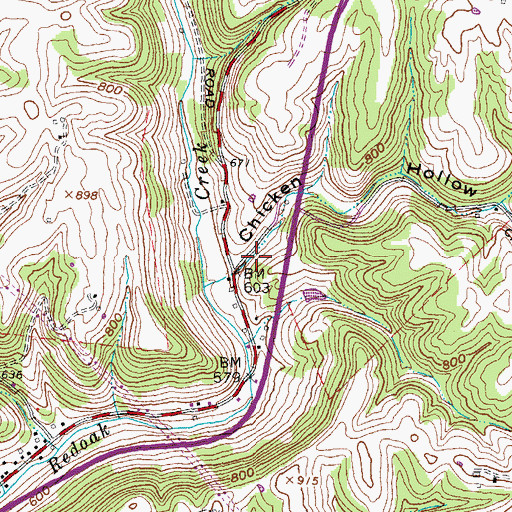 Topographic Map of Chicken Hollow, OH