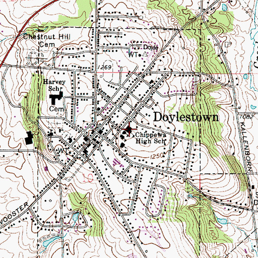 Topographic Map of Chippewa High School, OH