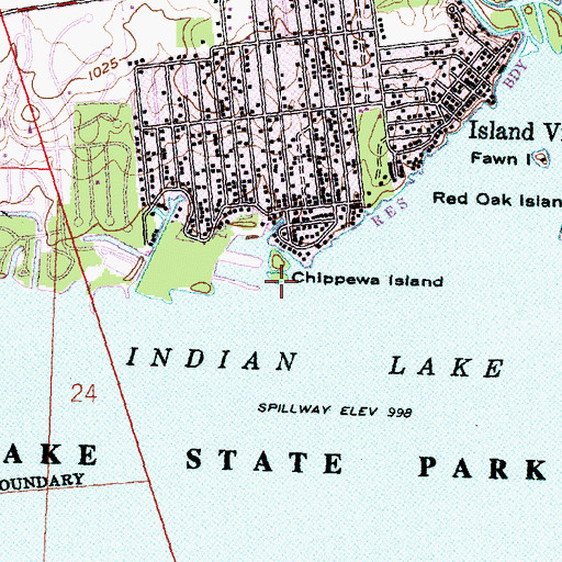 Topographic Map of Chippewa Island, OH