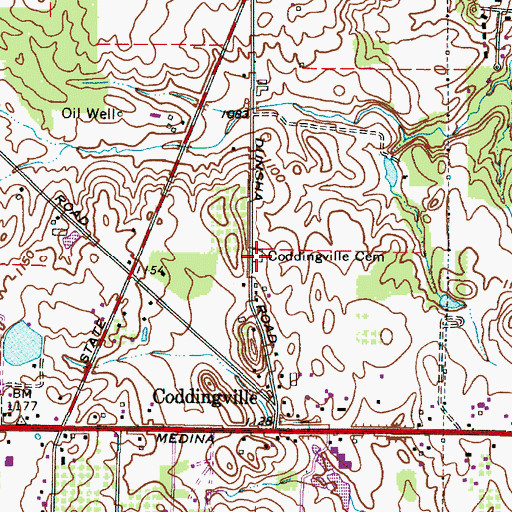 Topographic Map of Coddingville Cemetery, OH