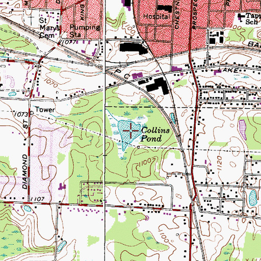 Topographic Map of Collins Pond, OH