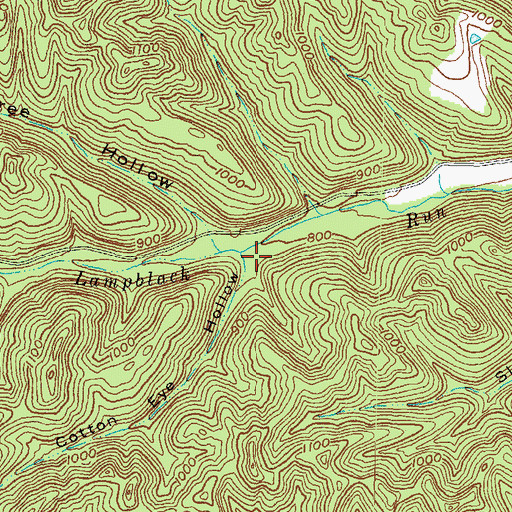 Topographic Map of Cotton Eye Hollow, OH