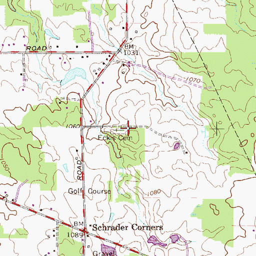 Topographic Map of Eckis Cemetery, OH