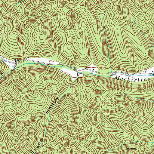 Topographic Map of Evans Hollow, OH
