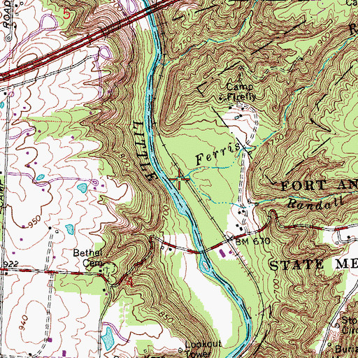 Topographic Map of Ferris Run, OH