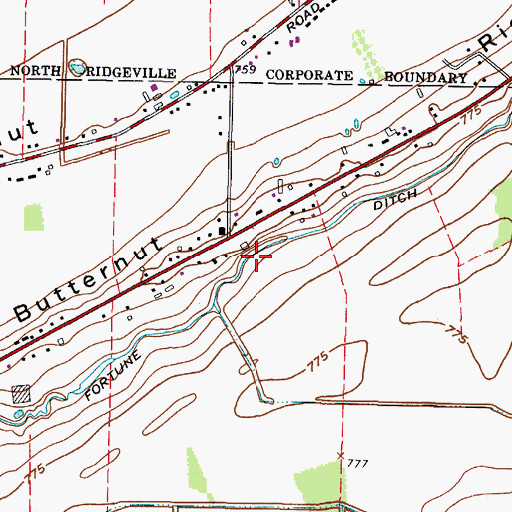 Topographic Map of Fortune Ditch, OH